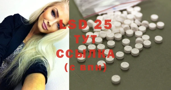 PSILOCYBIN Гусев