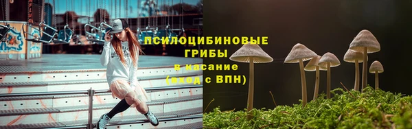 a pvp Гусь-Хрустальный
